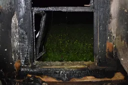 Namas Alytaus rajone padegtas du kartus