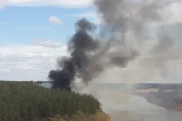 Gaisras buvo kilęs Nemuno kilpoje