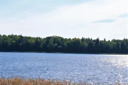 Maudyklos Alytaus rajone – maudymuisi tinkamos