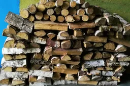 Mažės mokesčiai malkoms ir kūrenimui skirtai medienai