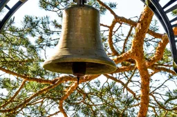 Protrūkis Dzūkijoje užfiksuotas ir vienoje iš klebonijų