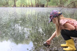 Namo į Dzūkiją grįžta vis daugiau balinių vėžlių, jaunikliai vėl bus iškasami rudenį
