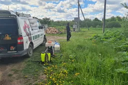 Rodžios kaime naikinamas Sosnovskio barštis