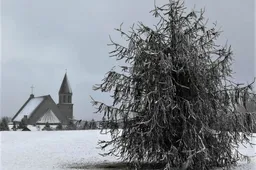 Į bažnyčias – nuo Pelenų trečiadienio