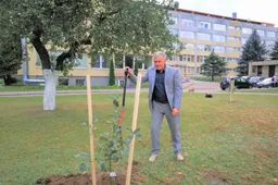 Ligoninės kieme augantį obelų sodą papildė nauji sodinukai