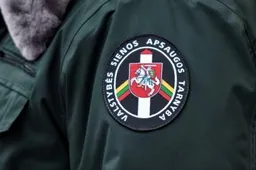 Pasienietis sužalojo sugyventinę ir jos tėvą, vaikai perduoti globėjai