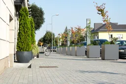 Seimo rinkimai: išankstinis balsavimas Alytaus mieste – kas, kaip ir kada