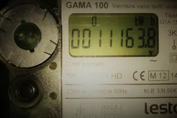 Elektros ir dujų skaitiklių rodmenis reiktų deklaruoti iki metų pabaigos