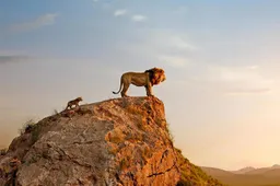 „Dainavos“ kinas kviečia į karščiausias premjeras