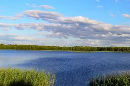 Rastas per Jonines ežere nuskendęs vyras