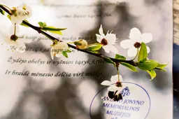 Alytaus neaplenks tarptautinis poezijos festivalis