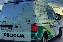 Vienoje seniūnijoje – trys kriminalai per vieną dieną