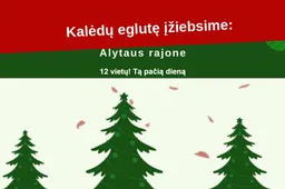 Kalėdų eglės visur sužibs tą pačią dieną