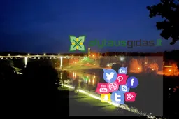 Kurie socialiniai tinklai Lietuvoje yra populiariausi?