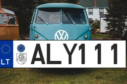 Vytį leista naudoti ant valstybinių transporto numerių