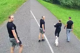 Ieškojo asmenų, sukėlusių skausmą