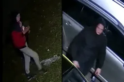 Ieško, kas apgadino automobilį „Toyota“