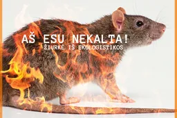 Prabėgo treji metai ir trys mėnesiai – ar jau matoma teismų dėl Alytaus gaisro pabaiga?