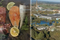 Dzūkijos sostinėje planuoja įsikurti mėsos ir žuvies produktų gamykla