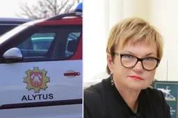 Alytaus ugniagesiai: gimnazijoje nesuveikė priešgaisrinė signalizacija, nemažai langų buvo užkalti, išimtos rankenėlės