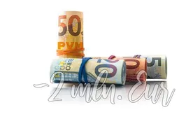 Alytuje veikusios bendrovės savininkas turės atlyginti milijoninę žalą