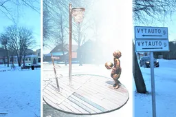 Pasaulio krepšinio legendai skirto paminklo statybai Alytaus rajone jau rengiamasi