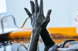 Bankas dėl Europos sąjungos sankcijų įšaldė Druskininkų sanatorijos sąskaitas