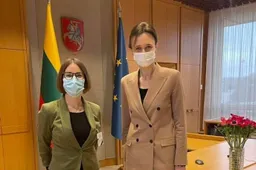 Lygių galimybių kontrolieriaus tarnybos vadove siūloma skirti iš Alytaus kilusią teisininkę