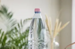 Kuris Lietuvoje parduodamas mineralinis vanduo yra išgaunamas Dzūkijoje?