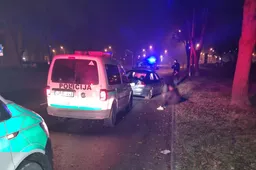 Neblaivi BMW vairuotoja Putinuose trenkėsi į stulpą