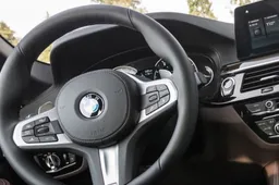 Griovyje rastame BMW – miręs vairuotojas