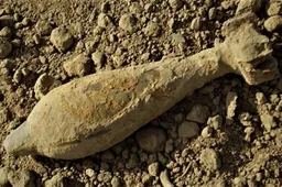 Namuose ant stalo – prieštankinis sviedinys