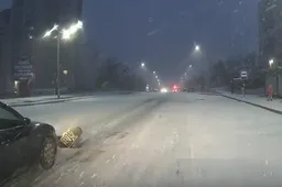 Ieško automobilio, kuris partrenkė per pėsčiųjų perėją ėjusį vaiką