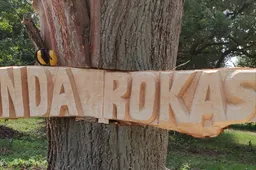 Devintas „Bunda rokas“ paskelbė programą, joje – 9 originalūs koncertai su muzikantais iš 7 šalių