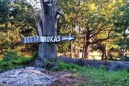 Devintasis „Bunda rokas“ bus