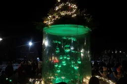 Kalėdinės eglutės sužibo daugiau nei dešimtyje rajono miestelių