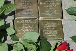 Prie namo su liūtukais įamžintas Bokšickių šeimos atminimas