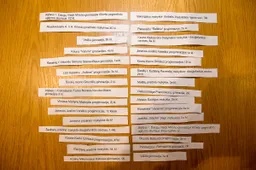 Tarp „Olimpinio mėnesio“ laureatų – Alytaus miesto ir rajono mokyklų klasės