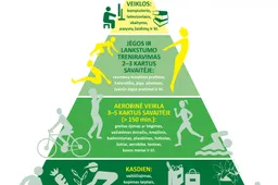 Suaugusiųjų fizinio aktyvumo piramidė – kokia ji?