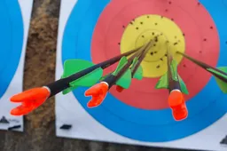 Šaudymo iš lanko varžybose aerodrome – alytiškės iššūkis vyrams