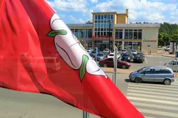 Atsiras automobilių įkrovimo prieigos Alytuje ir kitose Dzūkijos vietose