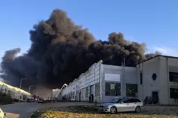 Perspėjimas: gaisro Alytuje pasekmės viršys ugnikalnių sukeliamą žalą