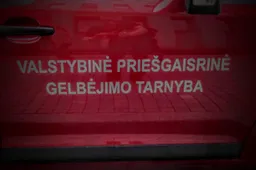 Ugnis pasiglemžė dviejų vyrų gyvybes