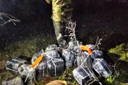 Pažįstamą vyrą su nešuliais pasieniečiai sutiko per puskilometrį nuo valstybės sienos