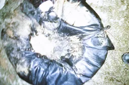 Nemune sugavo „įdarytą“ padangos kamerą