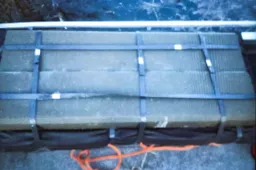 Nemunu plukdomos ir „šaligatvių trinkelės“