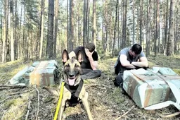 Druskininkiečius sulaikė Latežerio kaimo apylinkėse