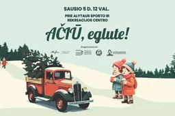 Pirmą kartą Alytuje kviečia linksmai atsisveikinti su kalėdinėmis eglutėmis
