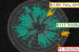 „Britiškas“ koronavirusas Alytaus apskrityje jau aptiktas, „braziliškas“ ir „Pietų Afrikos“ – dar ne