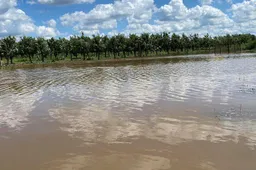 Luksnėnų soduose po liūčių atsirado ežerų